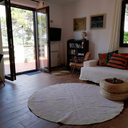 Apartments Vila Marija Grebaštica Eksteriør bilde